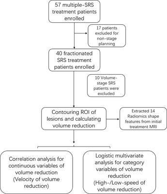 Factors Affecting Volume Reduction Velocity for Arteriovenous Malformations After Treatment With Dose-Stage Stereotactic Radiosurgery